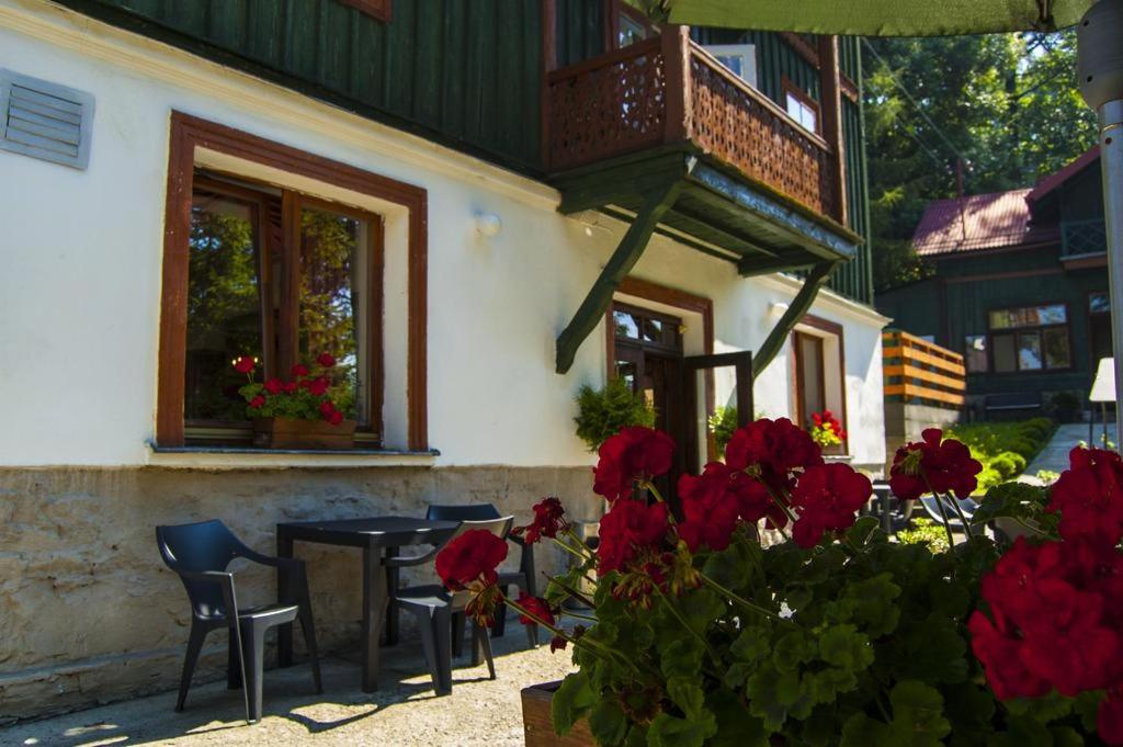 Pokoje Szczawnica Centrum - duży ogród - Housity