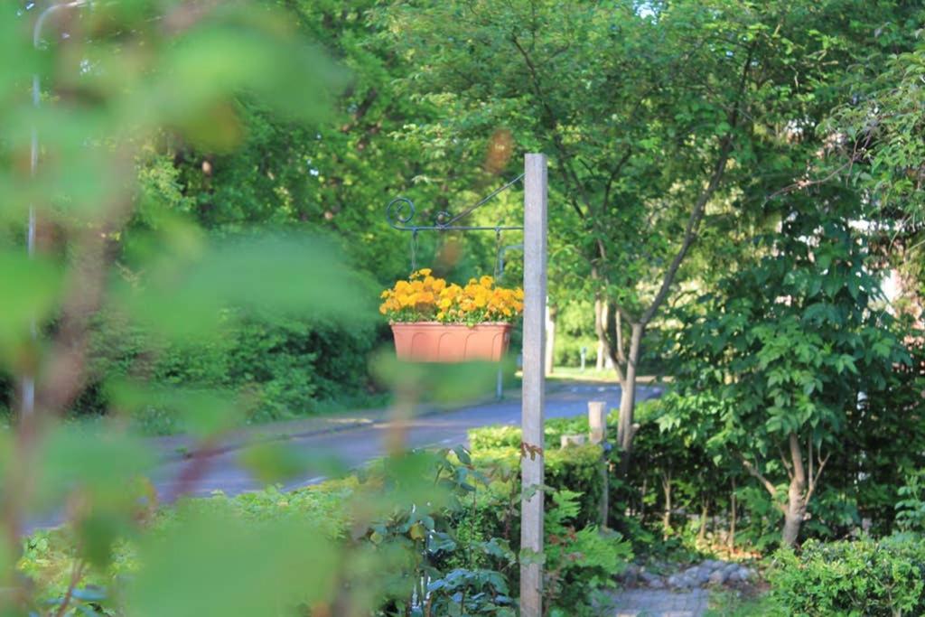 B&B Appartement De Winkeljuffer - Housity