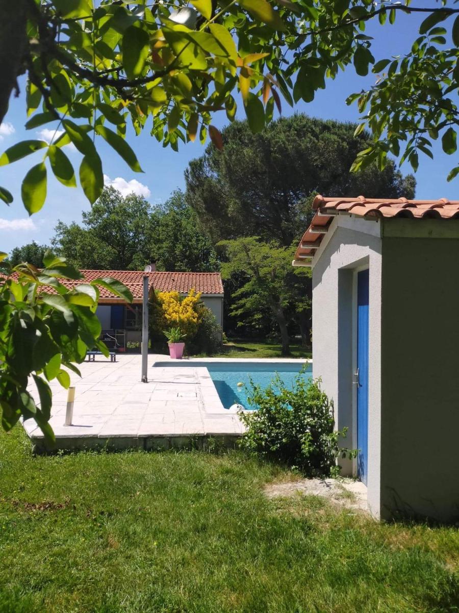 Les Agapanthes du frontonnais - Housity