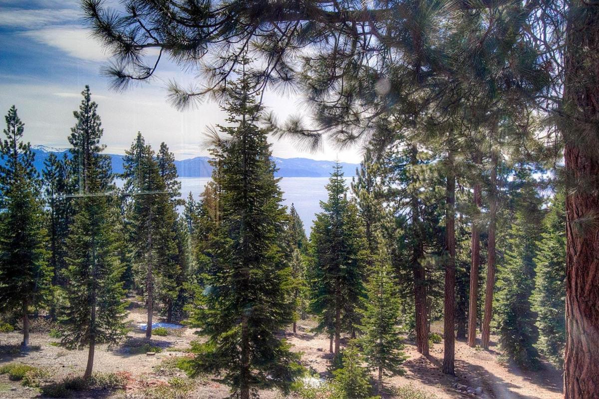 Timber View Lodge by Lake Tahoe Accommodations - Housity