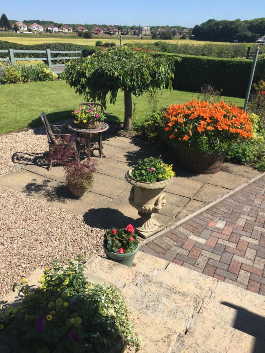 Auchenlea lodges - Housity