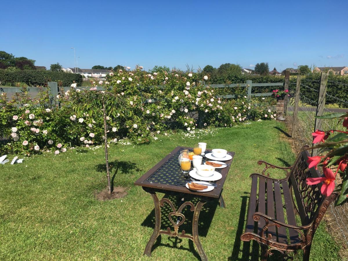 Auchenlea lodges - Housity