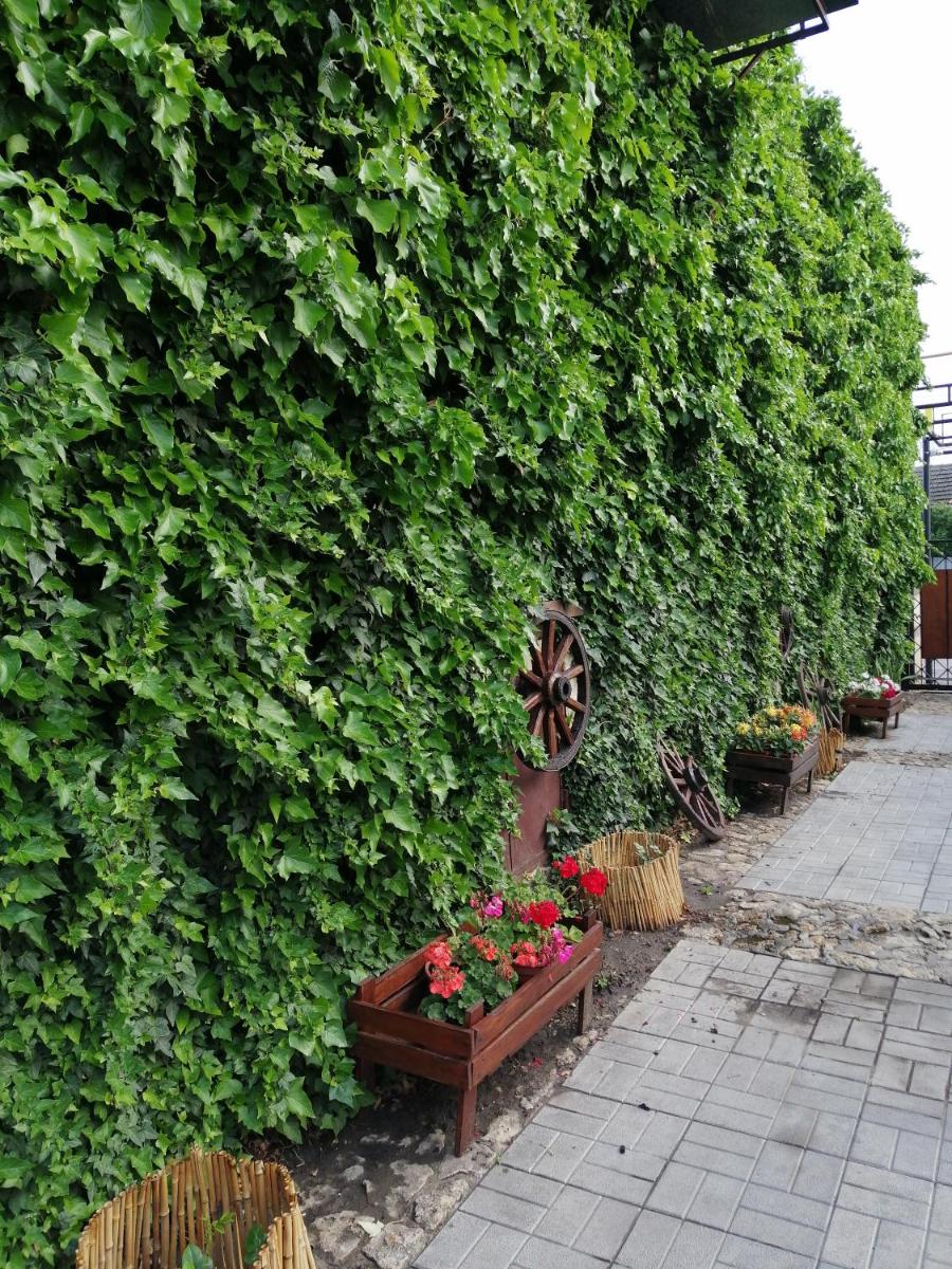 Hotel Vivat - Housity