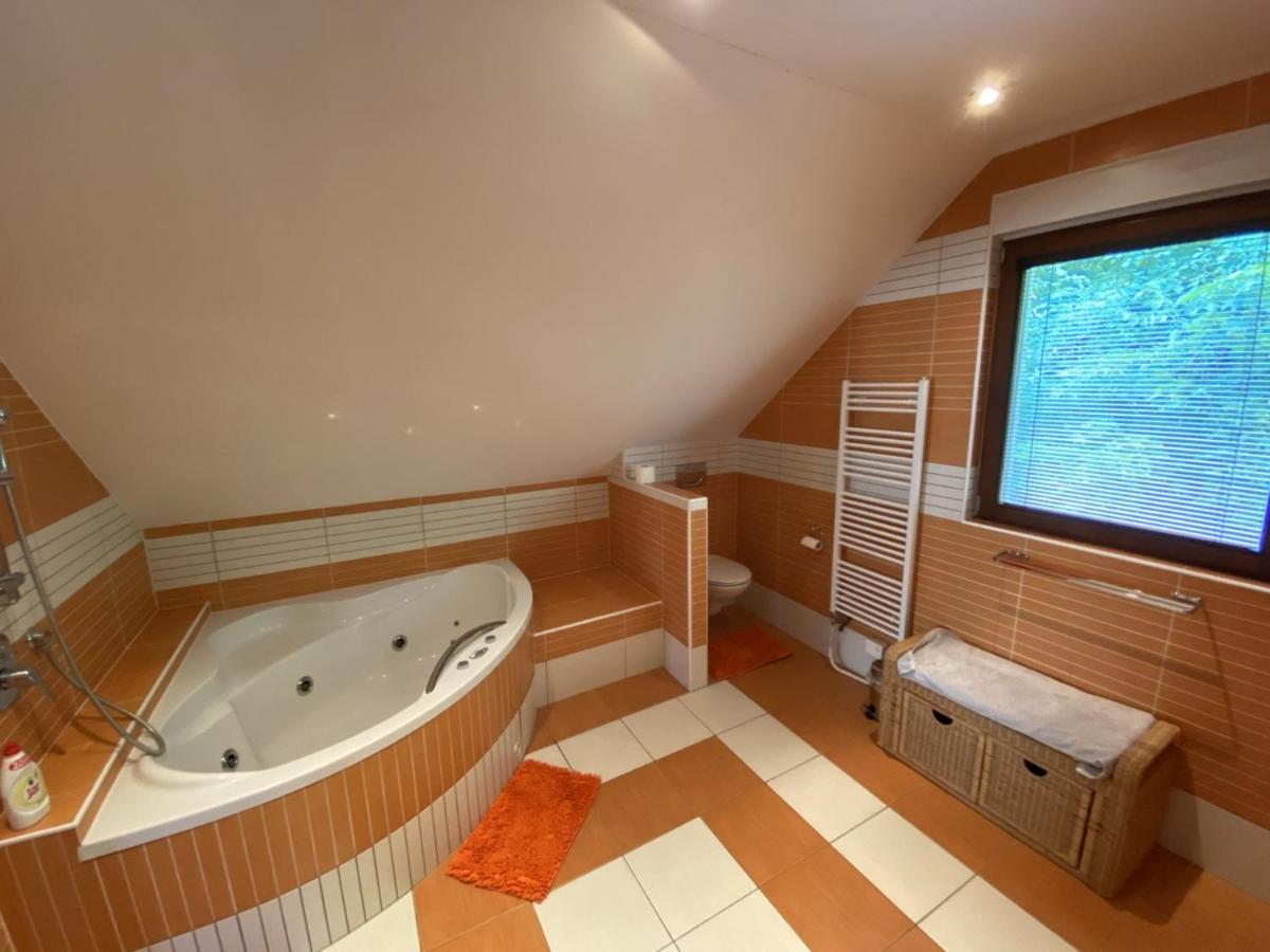 Apartments in Villa Teplice - Housity