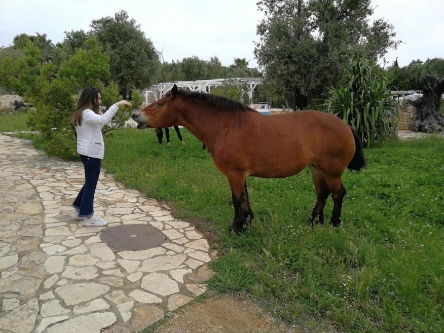 Masseria Sciaiani Piccola - Housity