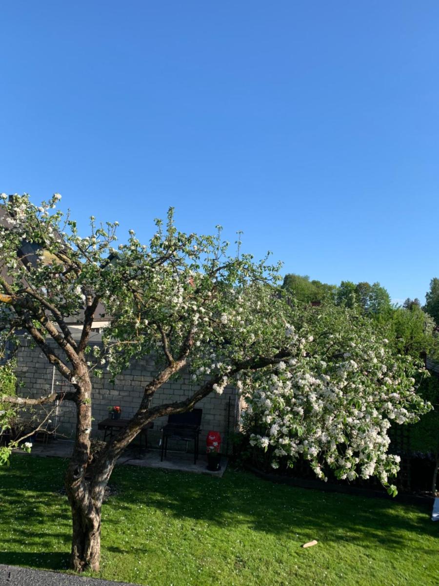 Mooni Cottage - Housity