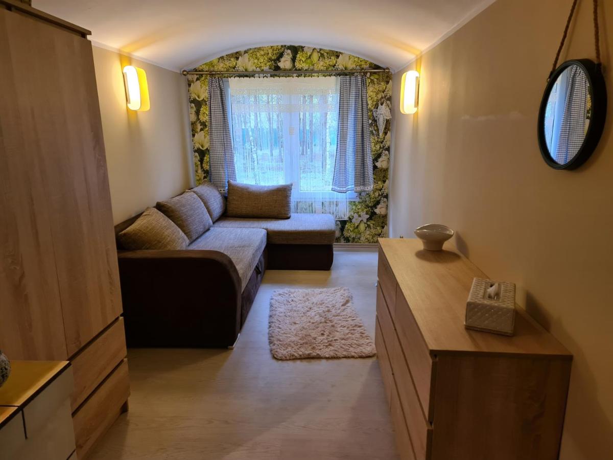 Leśny Zakątek Lipinki Bory Tucholskie - sauna - Housity