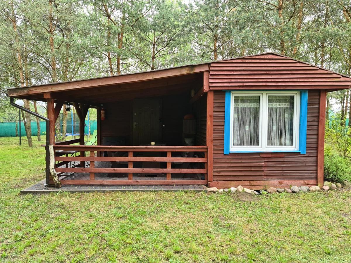 Leśny Zakątek Lipinki Bory Tucholskie - sauna - Housity
