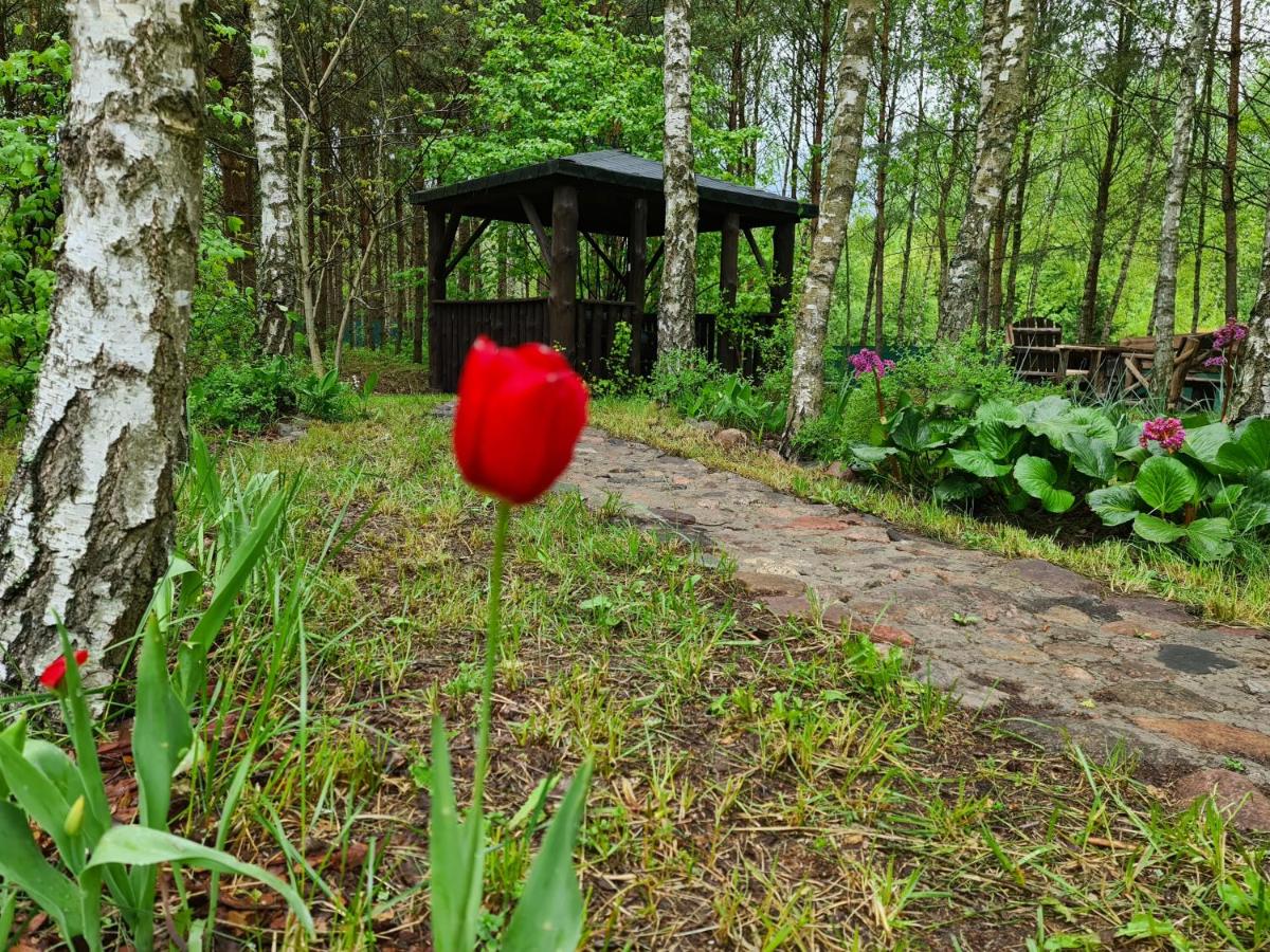 Leśny Zakątek Lipinki Bory Tucholskie - sauna - Housity