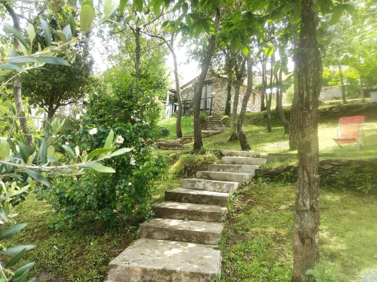 Villa Praesidio - Housity