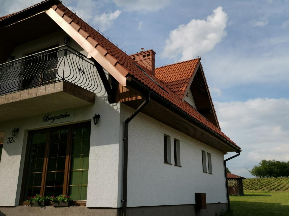 Willa Borynówka - Housity