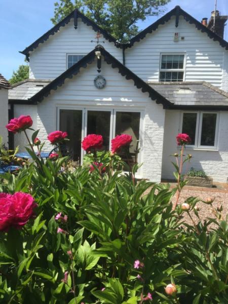 Wishing Well Cottage - Housity