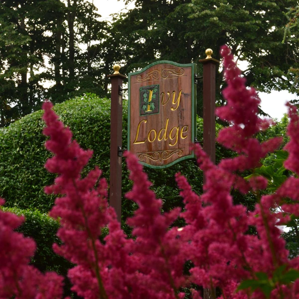Suitetrails - Ivy Lodge