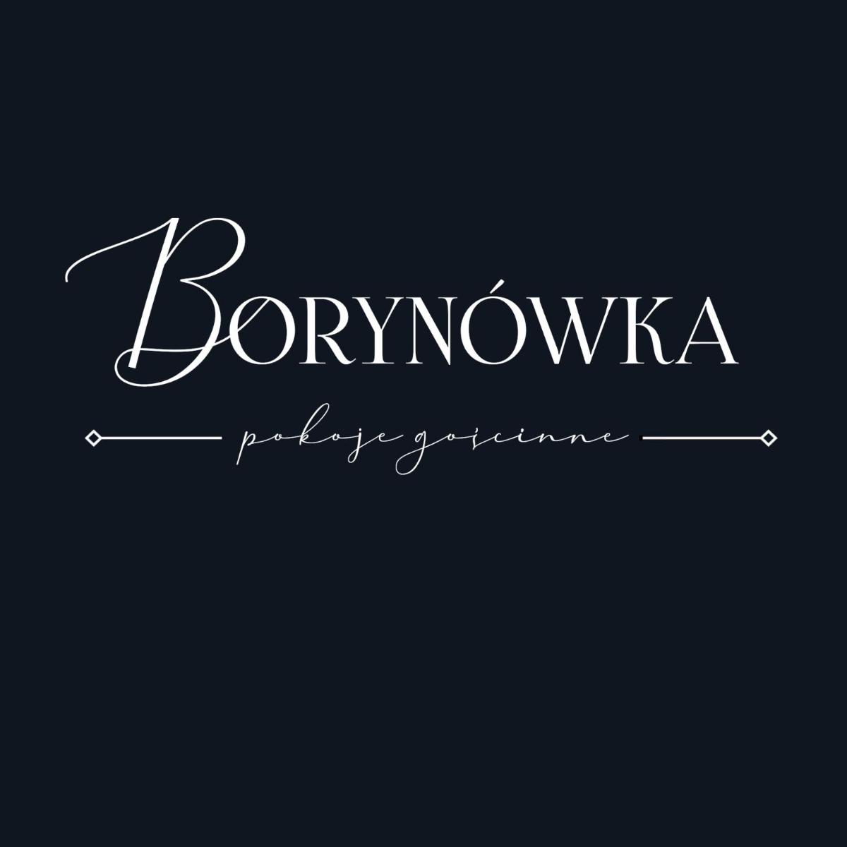 Willa Borynówka - Housity