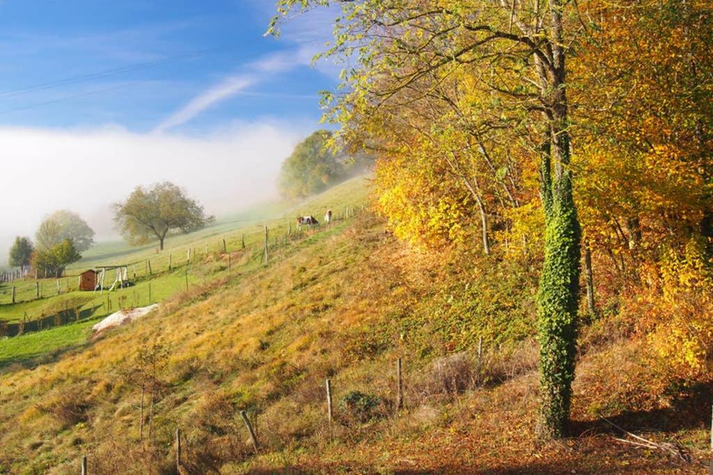 Le Merle Enchanteur - Housity