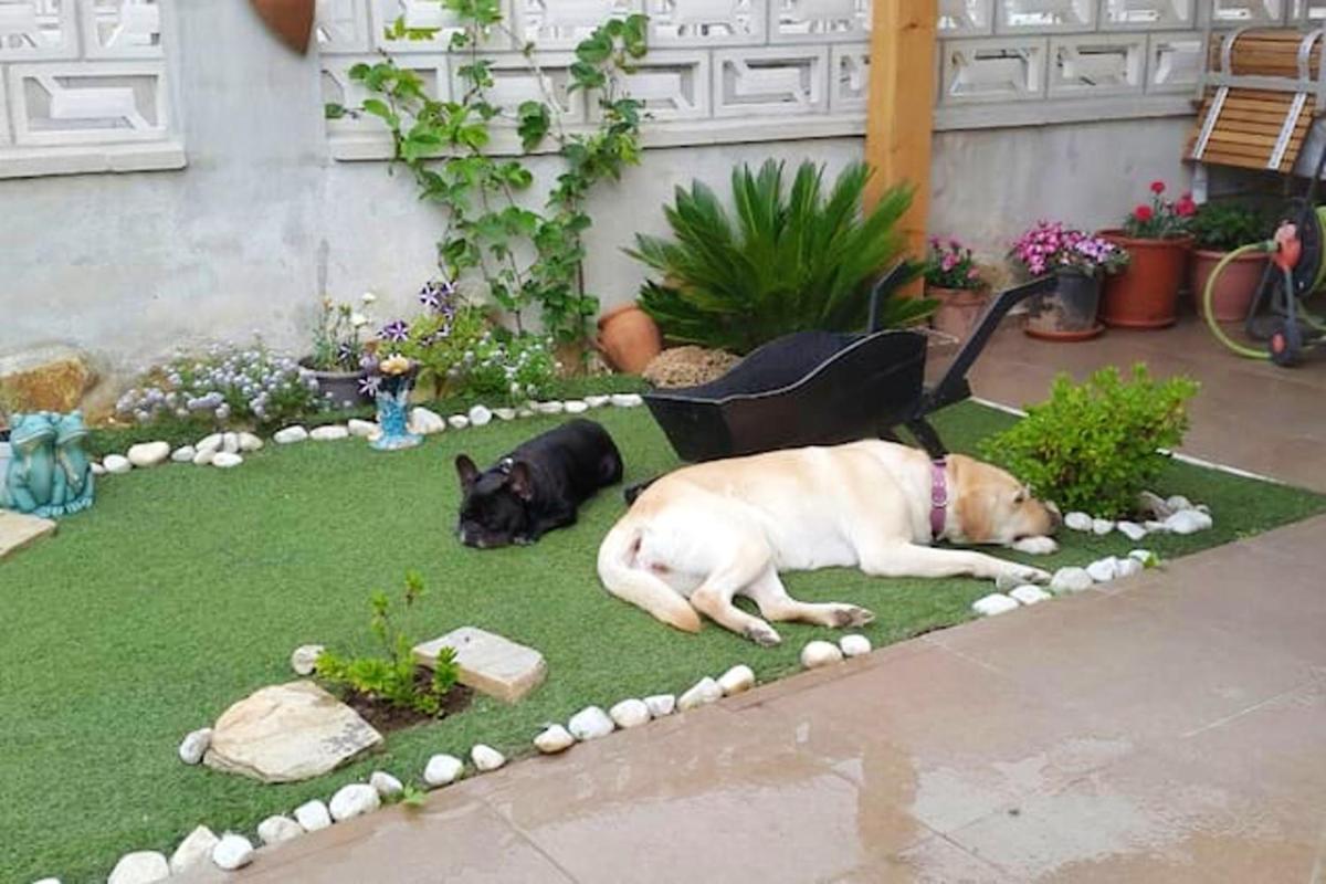 4 bedrooms house with wifi at Ampuero 6 km away from the beach - Housity