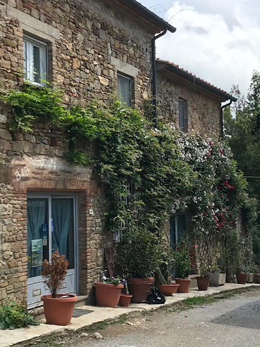 Bed And Breakfast Belvedere - Housity