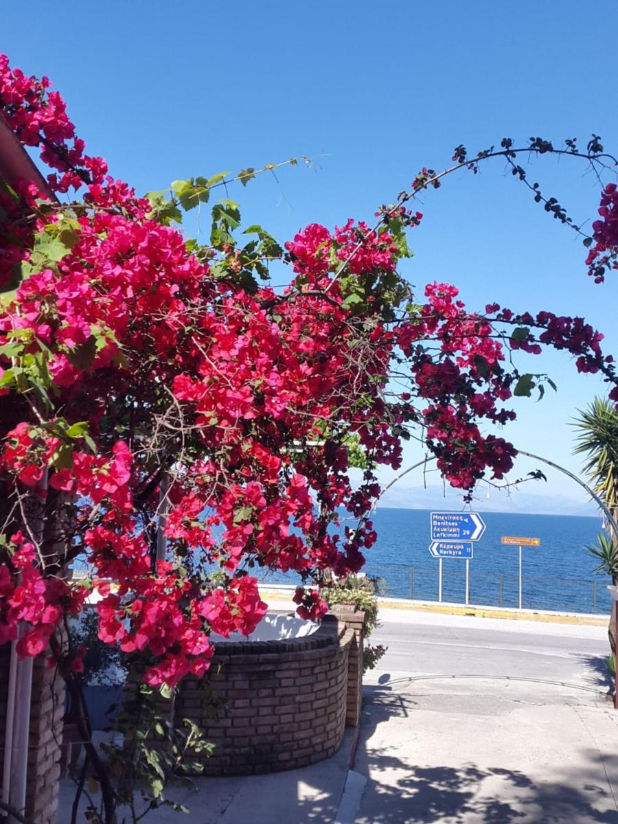 faliraki apartments - Housity