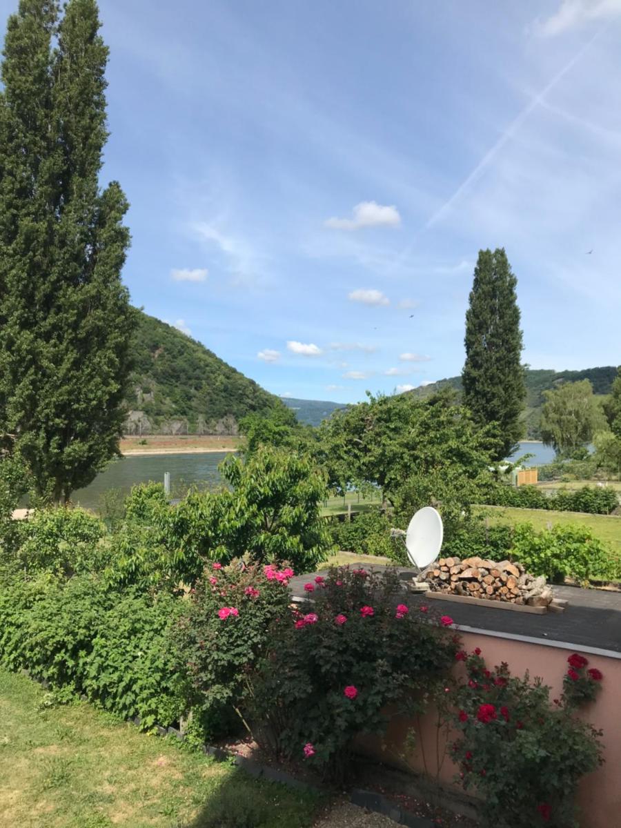 Rheinblickzimmer - Housity