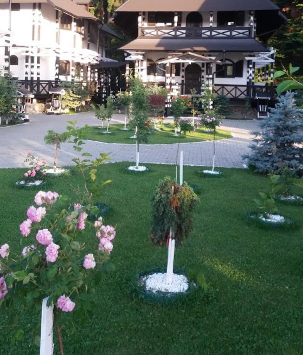 Complex Lions Bucovina - Housity