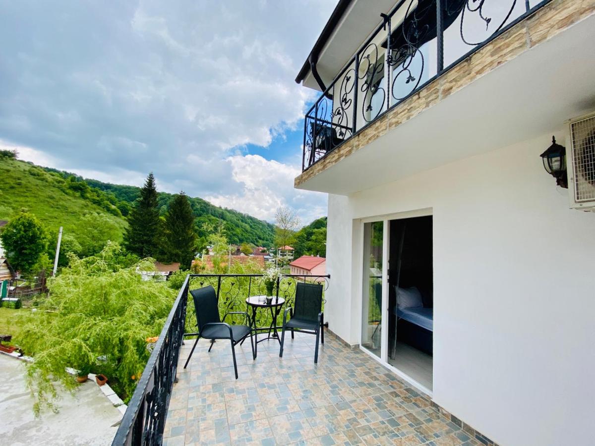 Pensiune Muntii Aninei - Housity