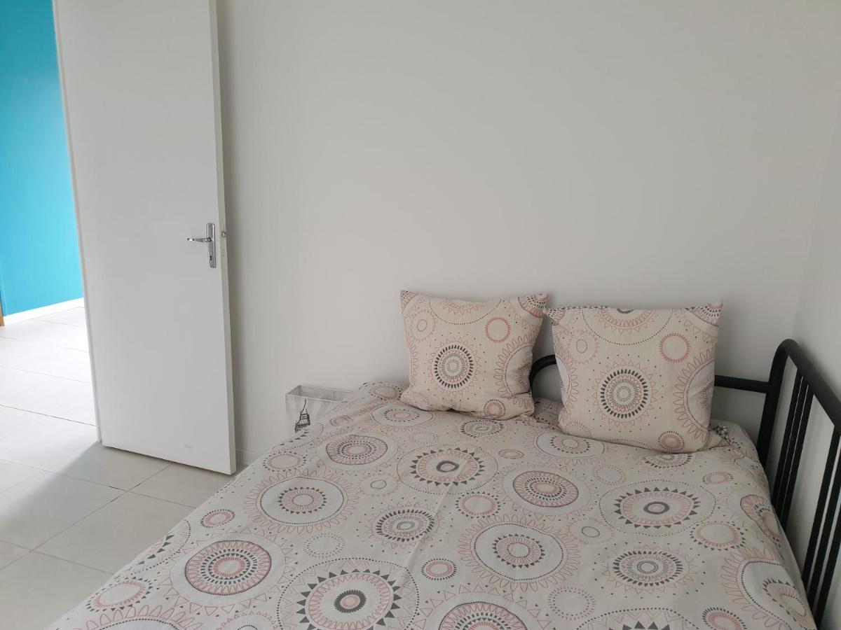 Modern Bright House - Housity
