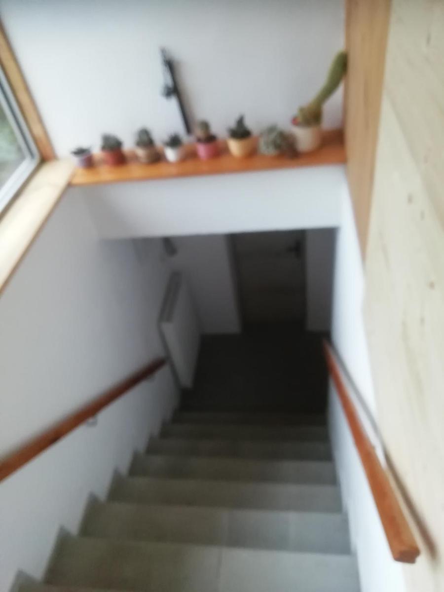 Chata Suchdol - Housity