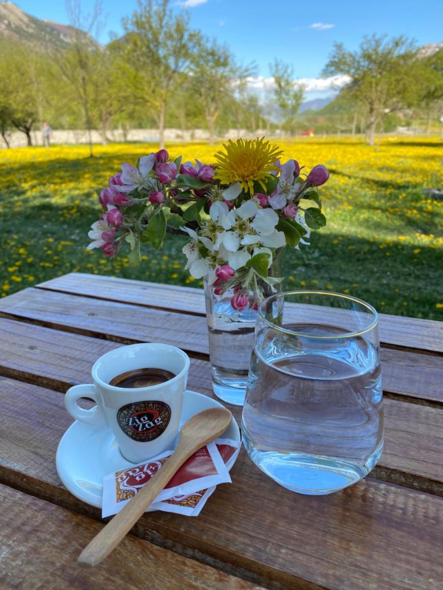 Peraj Guesthouse - Housity