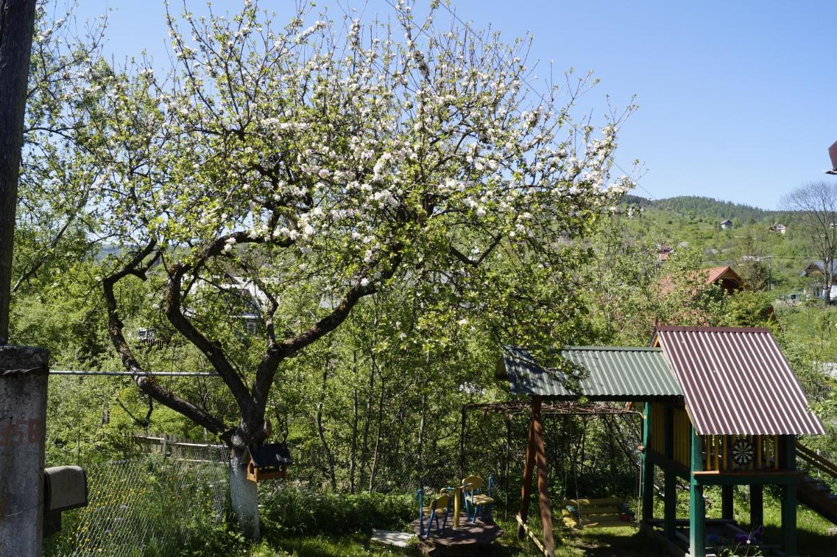 Будиночок в Карпатах - Housity