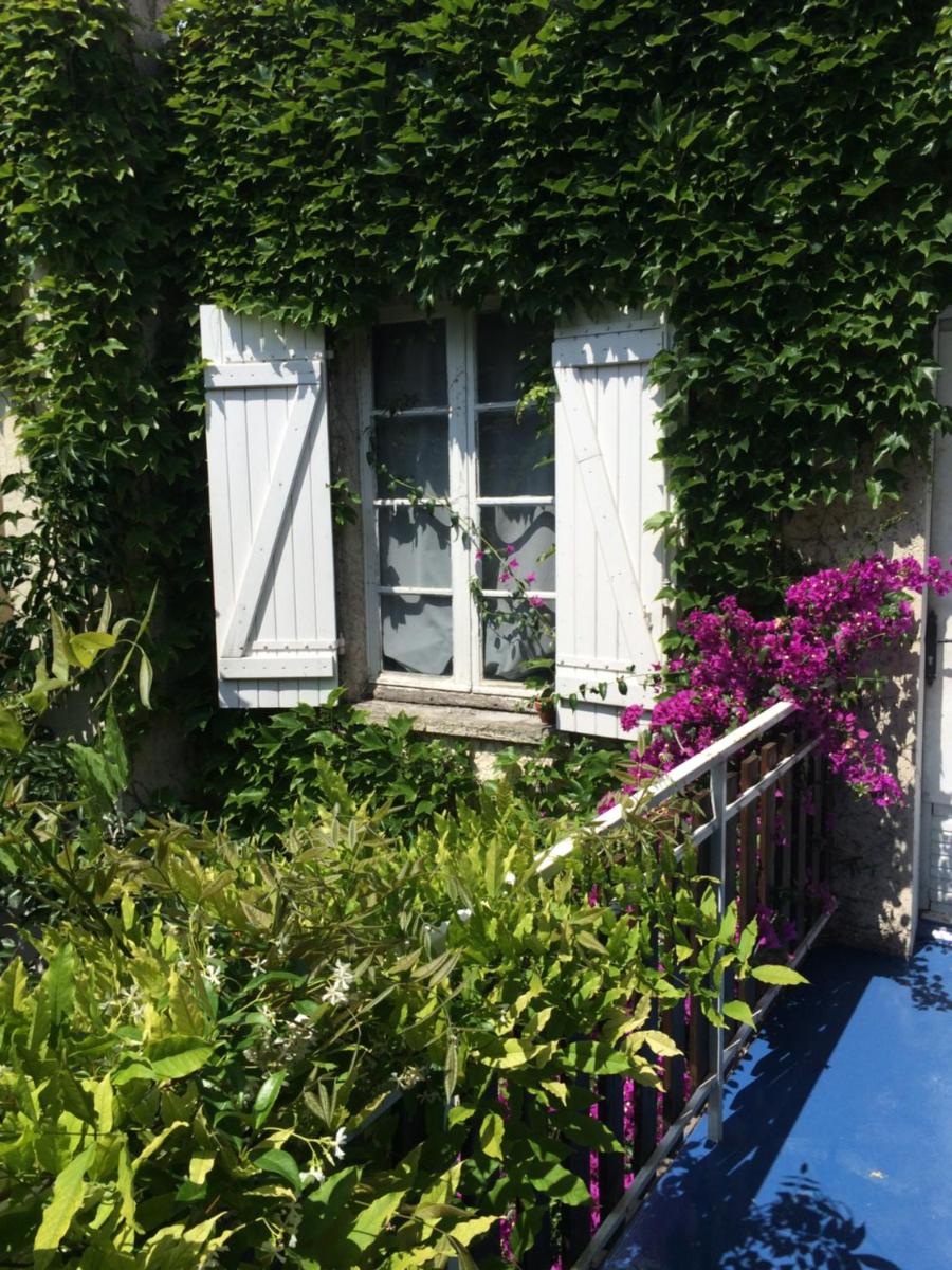 Jardin de l'établissement Hôtel Saint Louis