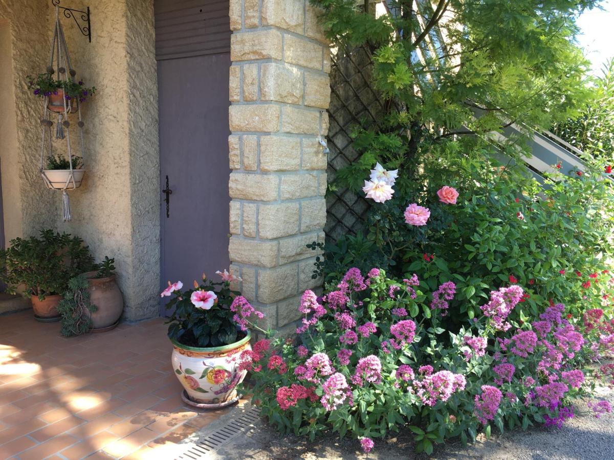 soleil lotus - Housity