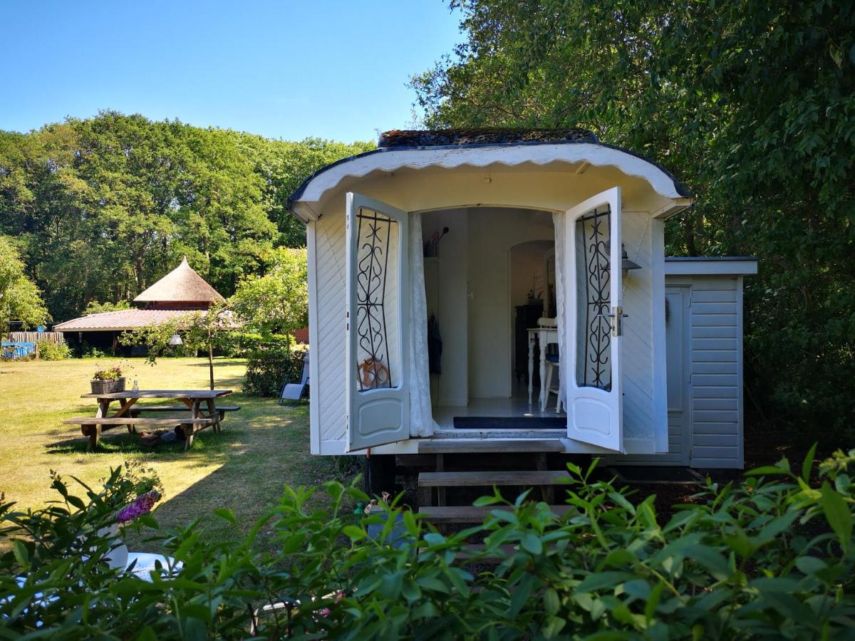 Bed & Breakfast Markelo - Housity