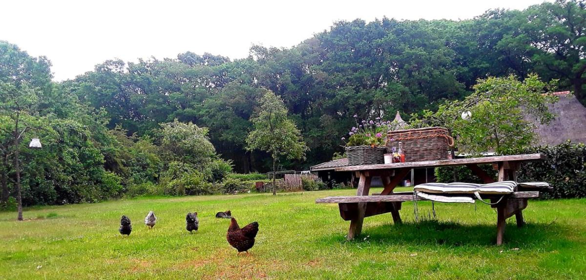 Bed & Breakfast Markelo - Housity