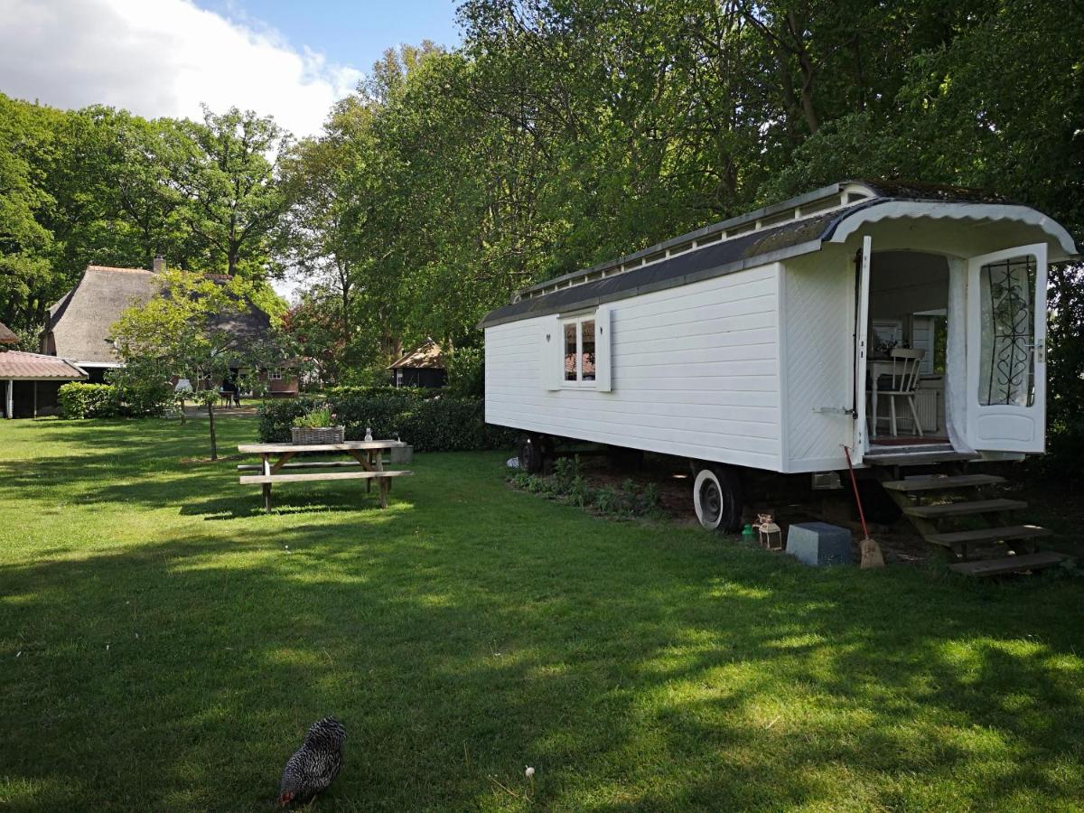 Bed & Breakfast Markelo - Housity