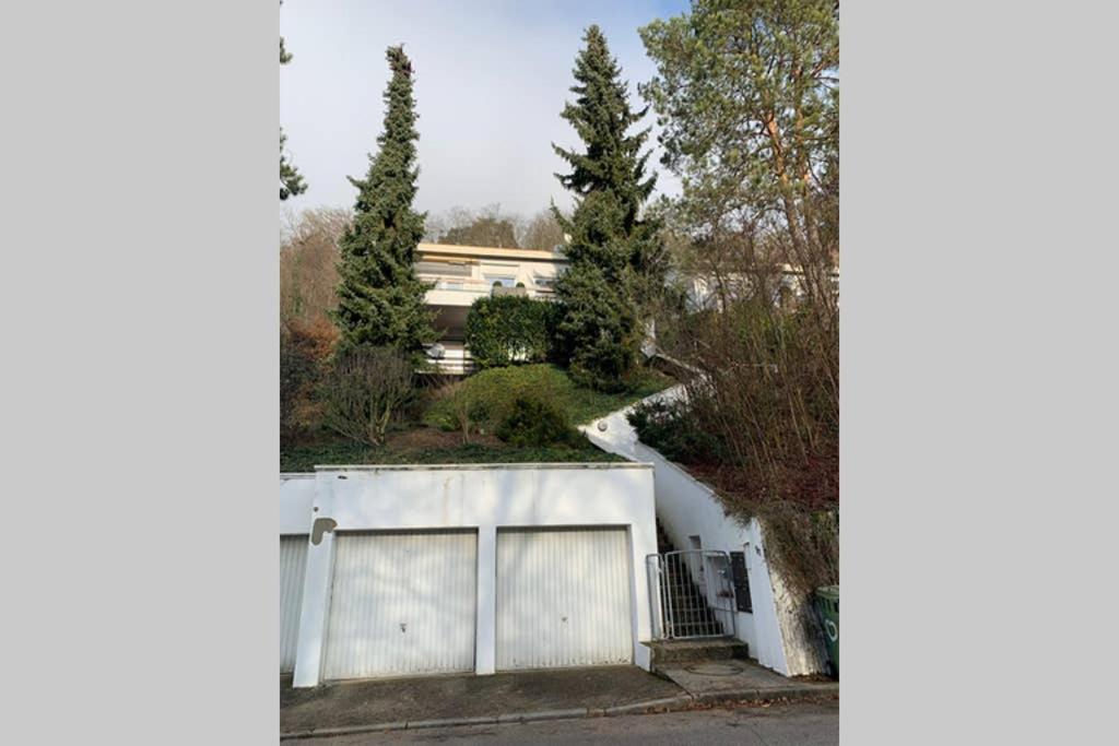 Ferienwohnung Carmen im schönen Lahr - Housity