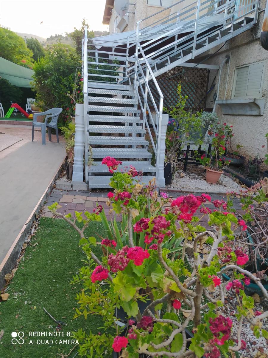 Aviv in Rosh Pina - Housity