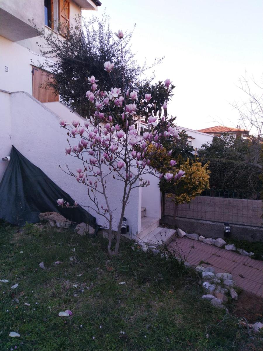 La Casa di Sandra - Housity