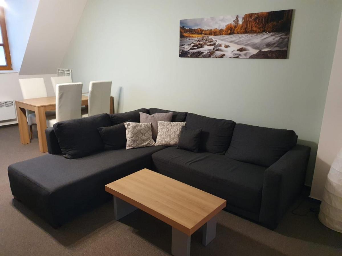 Apartmán Říčky - Housity