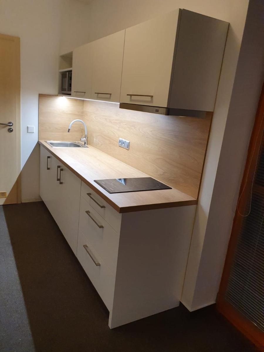 Apartmán Říčky - Housity