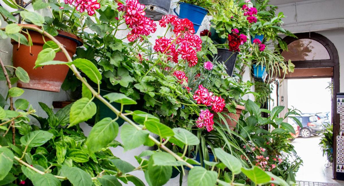 Casa Arco de la Pastora - Housity