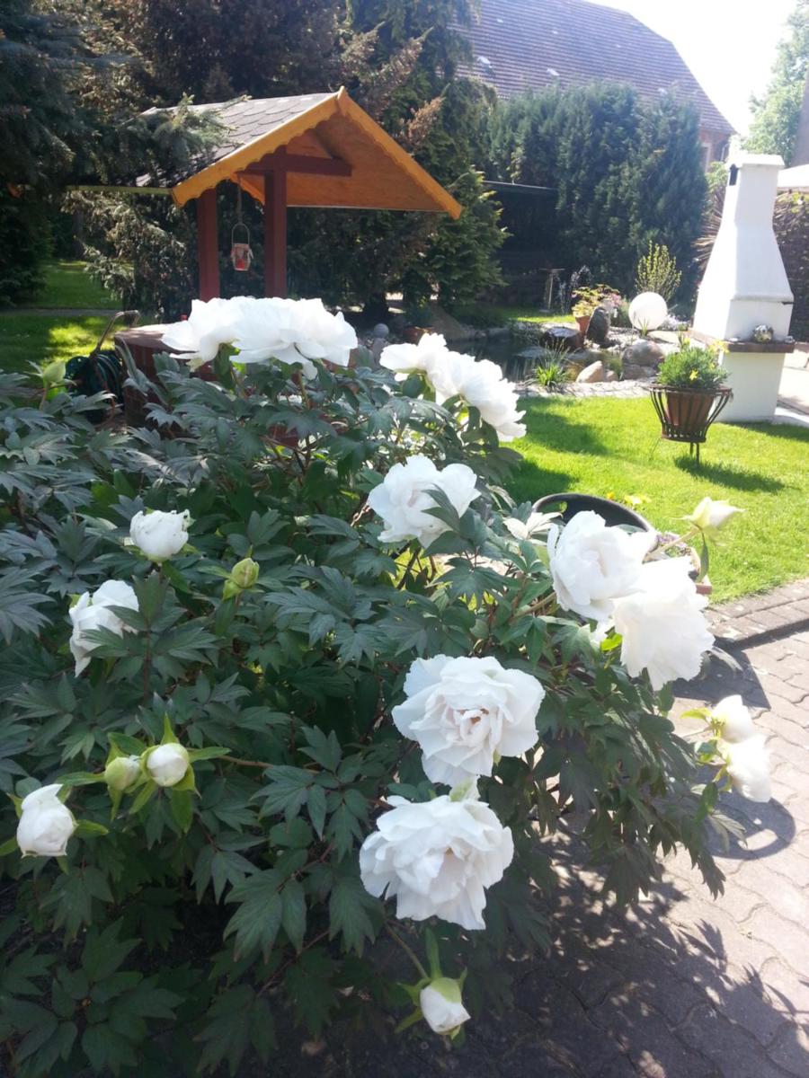 Apartment Dietze - Housity