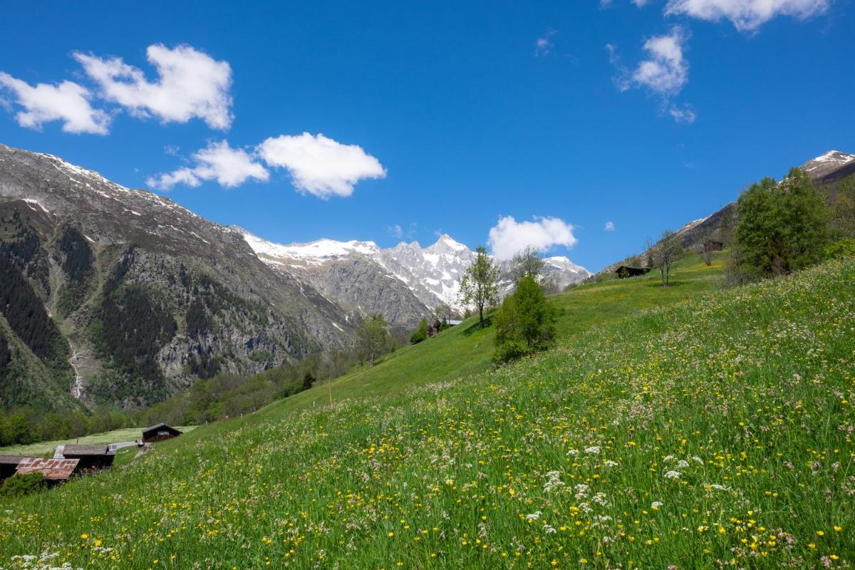 Chalet Orion - Housity