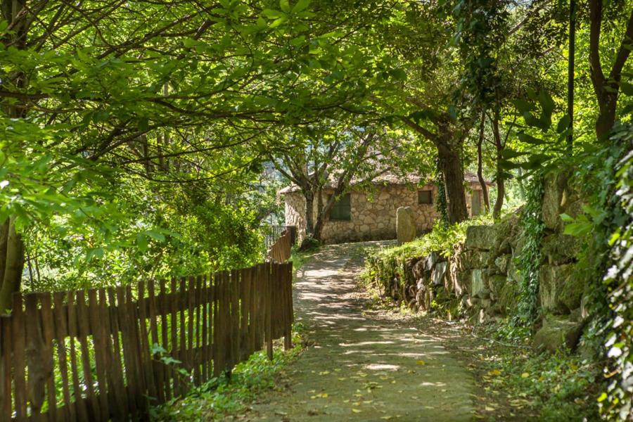 Albergue El Solitario - Housity