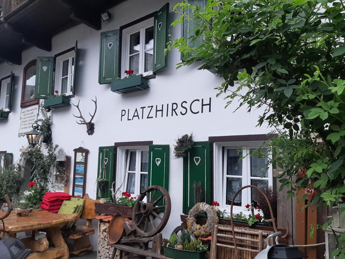 Platzhirsch zur alten Wagnerei Gästehaus - Housity