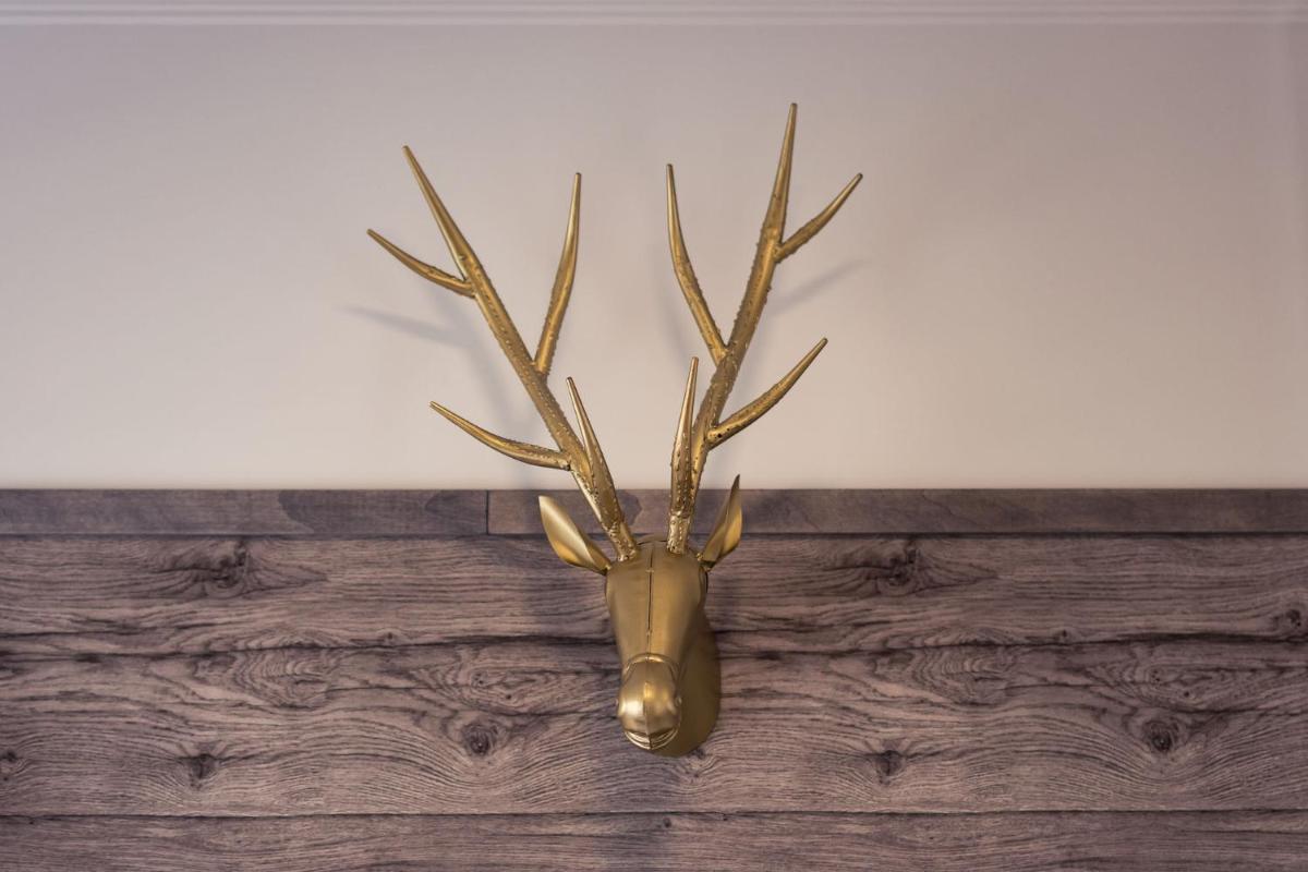 Hostal Chelsea - Housity