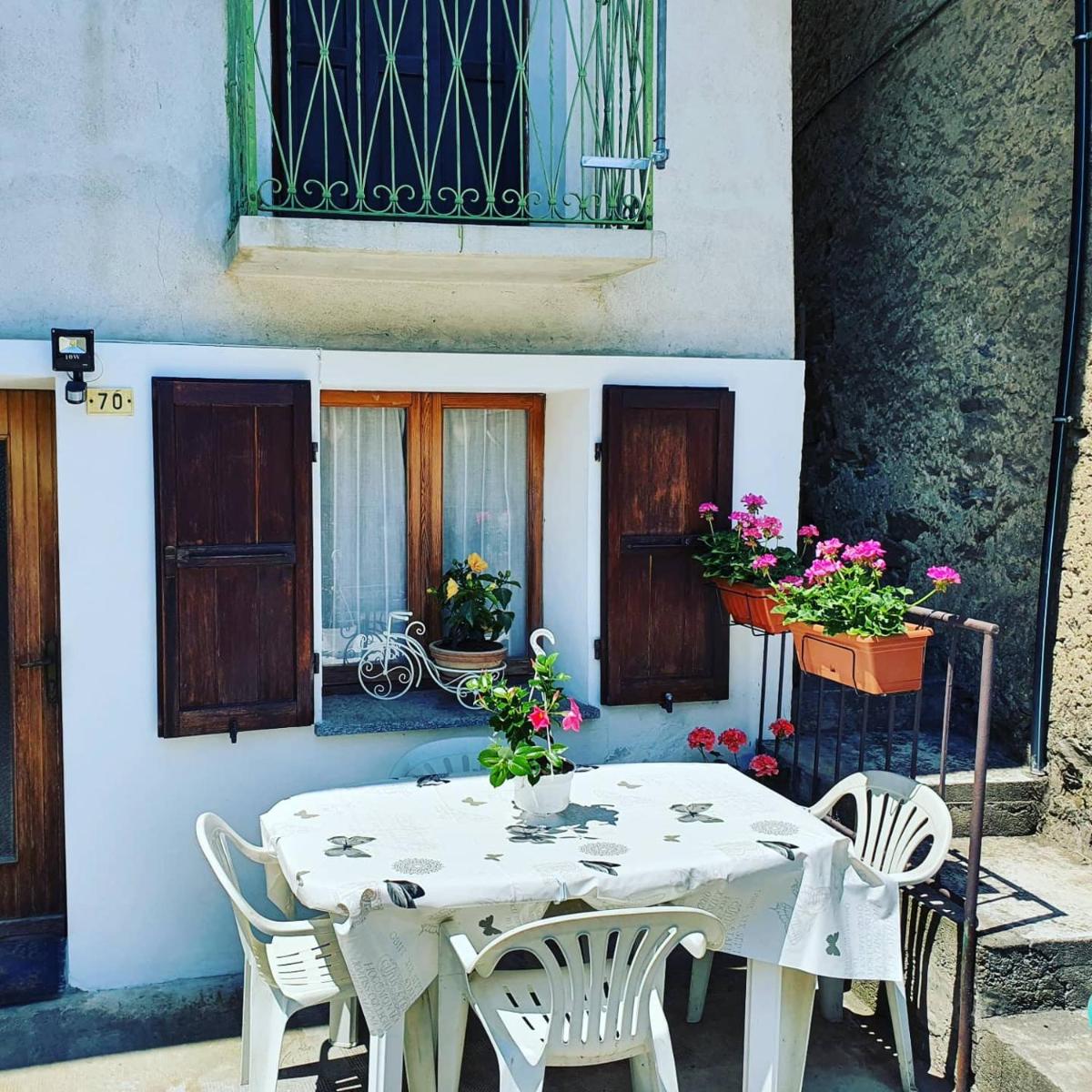 Coccinella House - Housity