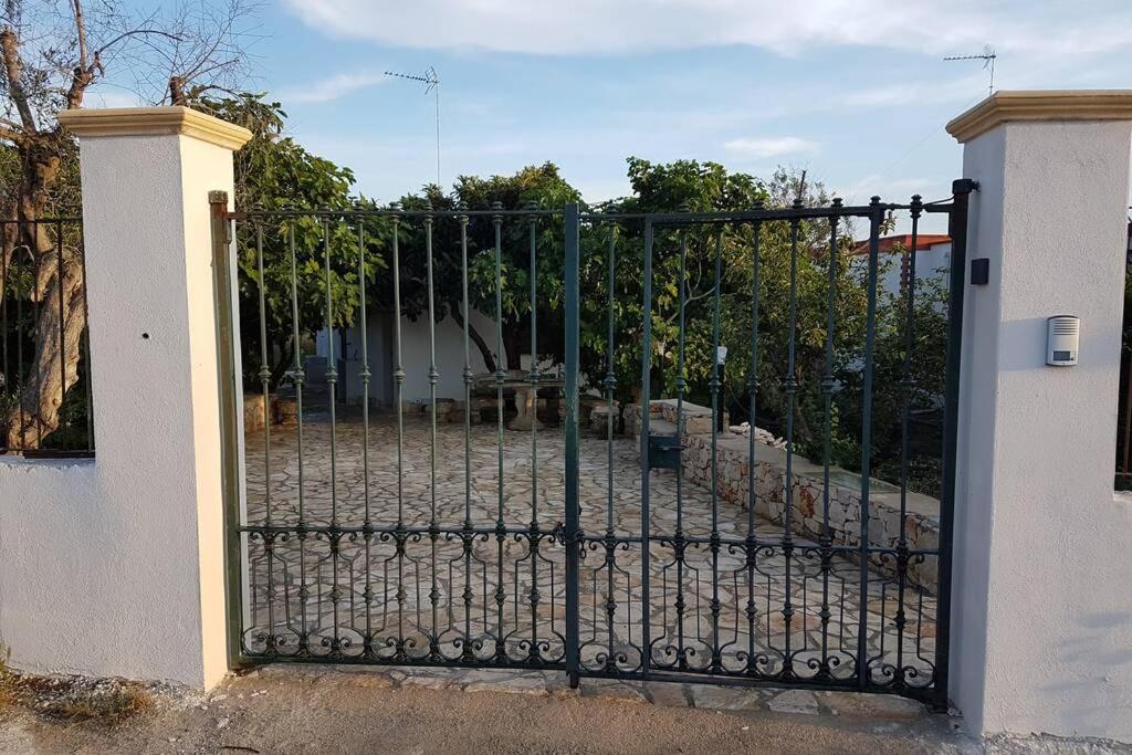 L'ulivo segreto - Housity
