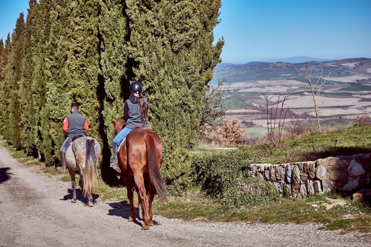 Az.Agr. Il Cavalleggero - Housity