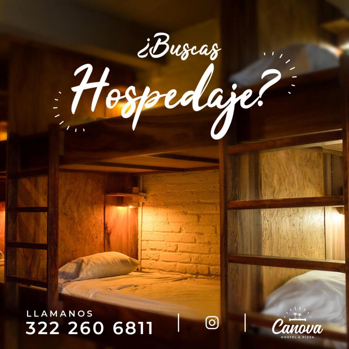 Canova Hostel & Pizza - Housity