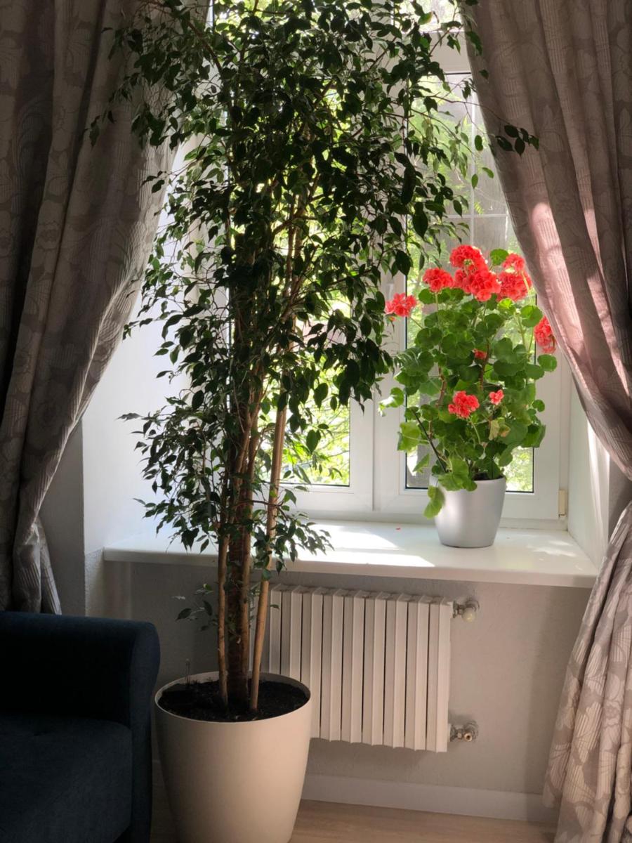 Suitetrails - The GardenApartments